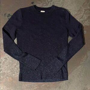 Navy Crewneck  Glittery Sweater